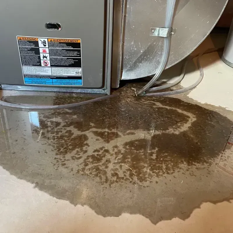 Appliance Leak Cleanup in Woodbury Center, CT